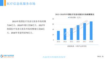2018年中國(guó)醫(yī)療信息化行業(yè)市場(chǎng)前景研究報(bào)告 數(shù)據(jù)處理及存儲(chǔ)服務(wù)